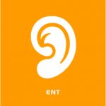 ent
