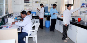 lab