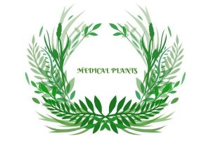 MEDICAL PLANTS