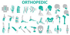 Orthopedic-Top-Bone-Specialist